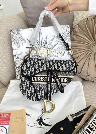 Dior saddle logo