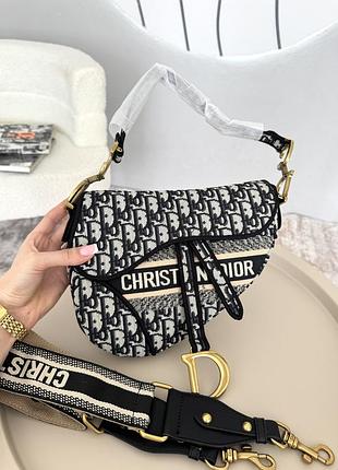 Dior saddle logo 4