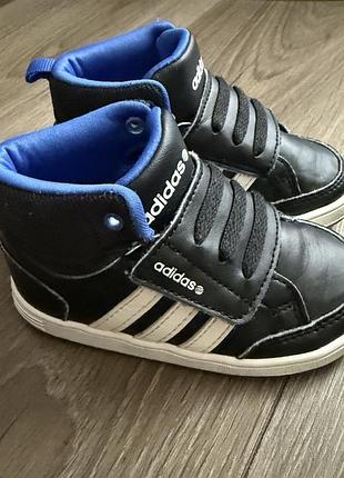 Хайтопи кеди adidas