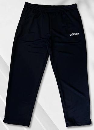 Жіночі спортивні штани adidas