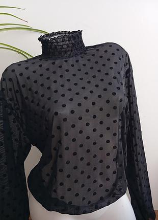 Черная прозрачная блуза (лонгслив) в горошек от бренда zara м