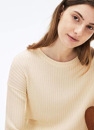 Кофта lacoste 5