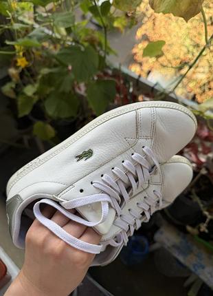 Кеди кросівки lacoste