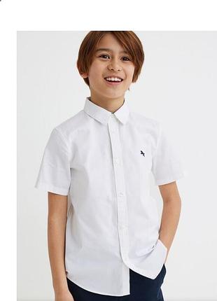 H&m сорочка 146-152