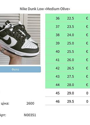 Nike sb dunk low premium