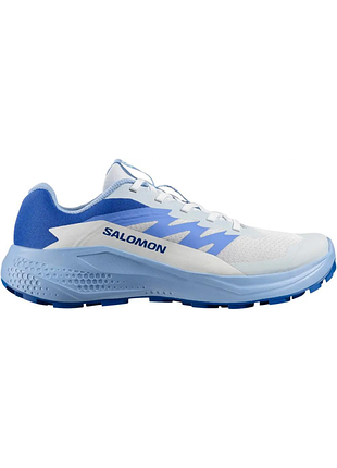 Жіночі кросівки саломон стильні повсякденні salomon alphaglide women ancientwater/brunnerablue 5 uk