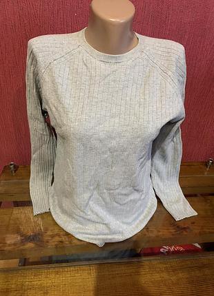 Лонгсліа zara