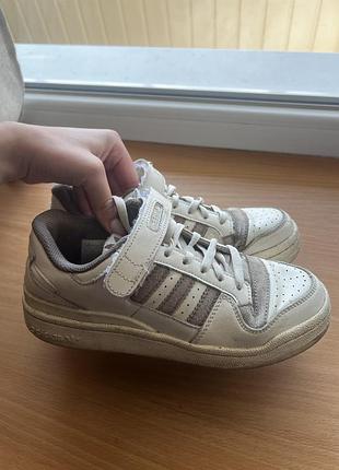 Кросівки adidas