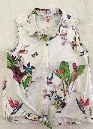 Брендова блуза з стрейчевоі бавовни на 9 років