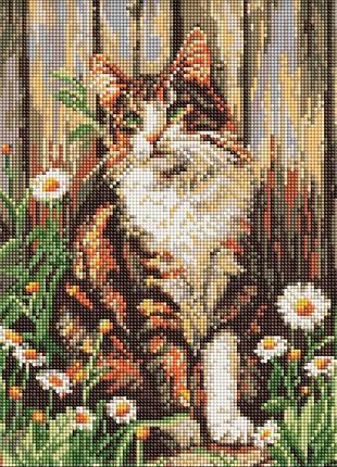 Алмазная мозаика "взгляд милого кота" ©art_selena_ua amo20351, 30х40 см