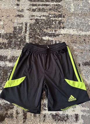 Шорти adidas для хлопчика
