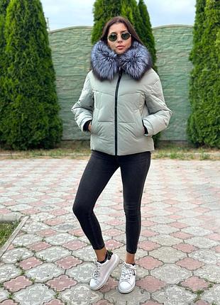 Зимовий пуховик із чорнобуркою колір м'ята s-xxl m