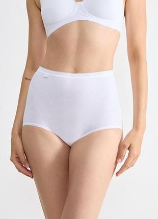 Трусики basic maxi
