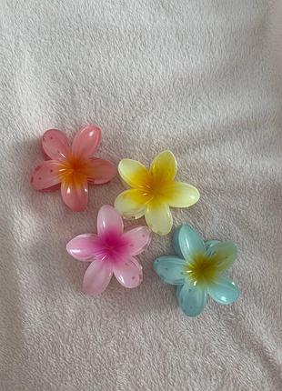 Крабіки  заколки