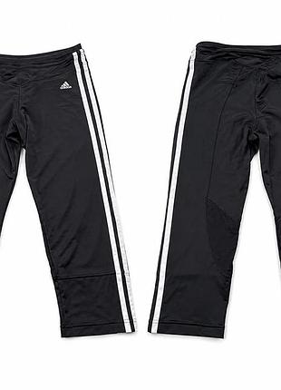 Жіночі бриджі adidas