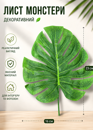 🌿 декоративний лист монстери
