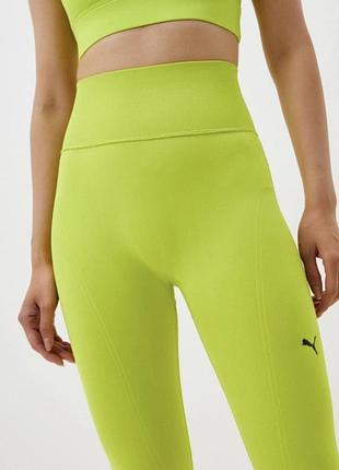 Яскраві лосини puma