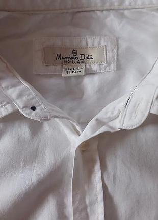 Рубашка белая massimo dutti 2