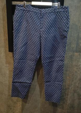 Жіночі штани брюки у горошок tommy hilfiger us 16 xl