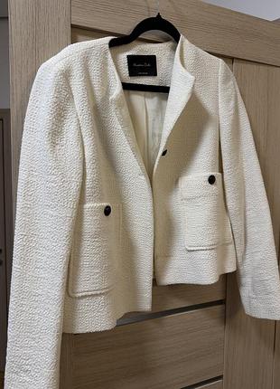 Піджак massimo dutti