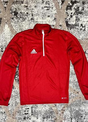 Олімпійка від adidas