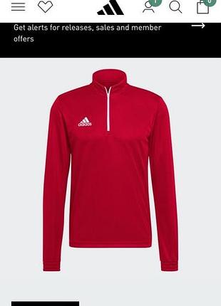 Олімпійка від adidas 6