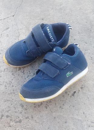 Дитячі сині кросівки lacoste l.ight з подвійною застібкою на липучках та фірмовим логотипом-крокодилом розмір 27
