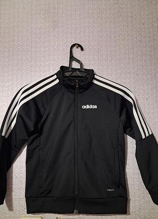Спортивна кофта adidas