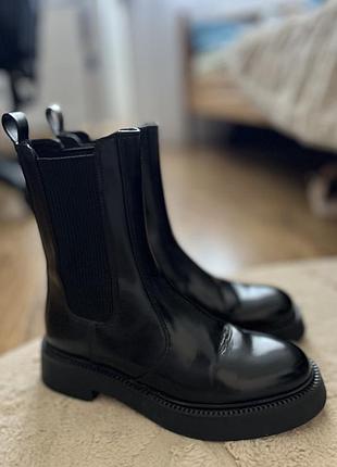 Челсі zara