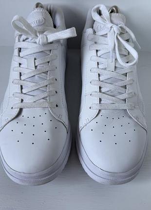 Lacoste кросівки 6