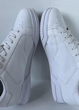 Lacoste кросівки 8