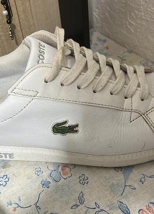 Кросівки lacoste