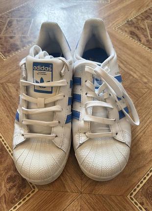 Adidas superstar