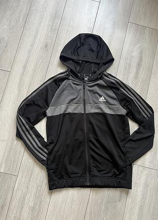 Олімпійка addidas оригінал