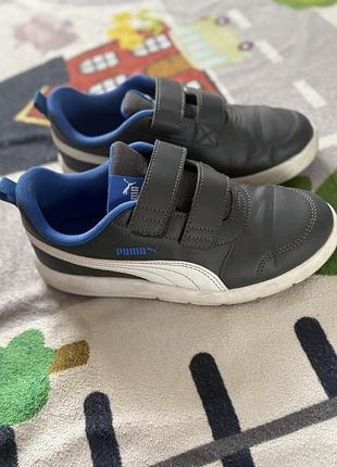 Кросівки puma