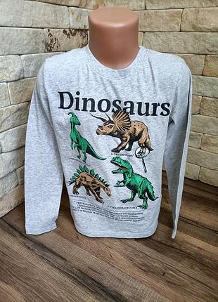 Реглан с динлзаврами 6-8 лет h&amp;m