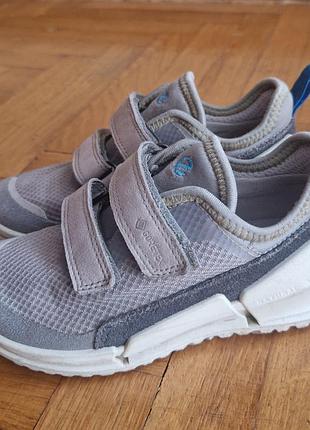 Кросівки ecco