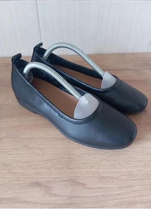 Шкіряні туфлі clarks