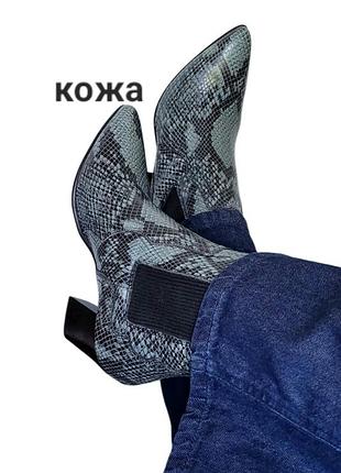 Новые казаки натуральная кожа питон змея