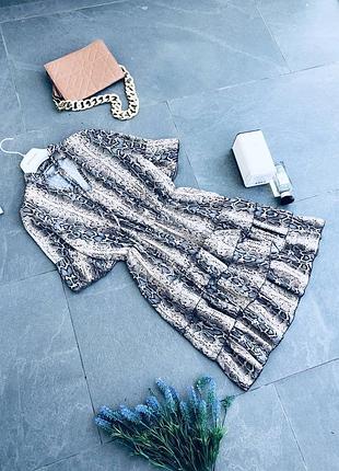 Сукня new collection
