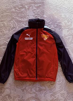 Вітровка puma