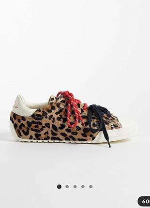 Трендові конверси леопард у шкірі поні, леопардові converse chuck taylor lo