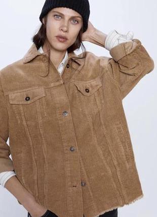 Рубашка вельвет пиджак zara