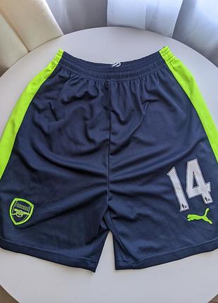 Футбольные шорты arsenal (puma) 16/17 | номер 14 апл m-l
