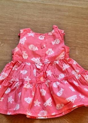 Сукня тм  chicco 5