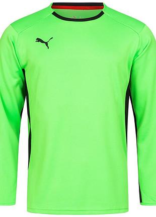 Кофта чоловіча воротаря puma v1.08 700466-15