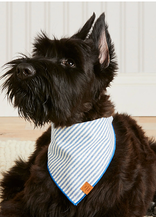 Бандана для собак the foggy dog lake blue stripe разгружающий платок на шею песика голубая полоска брендовая оригинал м размер полосатая