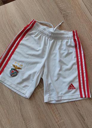 Шорти футбольні, adidas.
