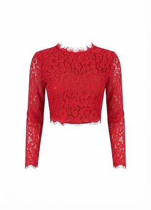 Эффектный красный кружевной кроп-топ boohoo с длинными рукавами и молнией на спине