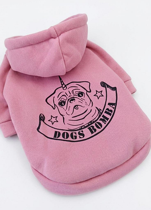 Толстовка для собак dogs bomba